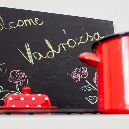 Vadrózsa Vendégház Rácalmás Exterior foto