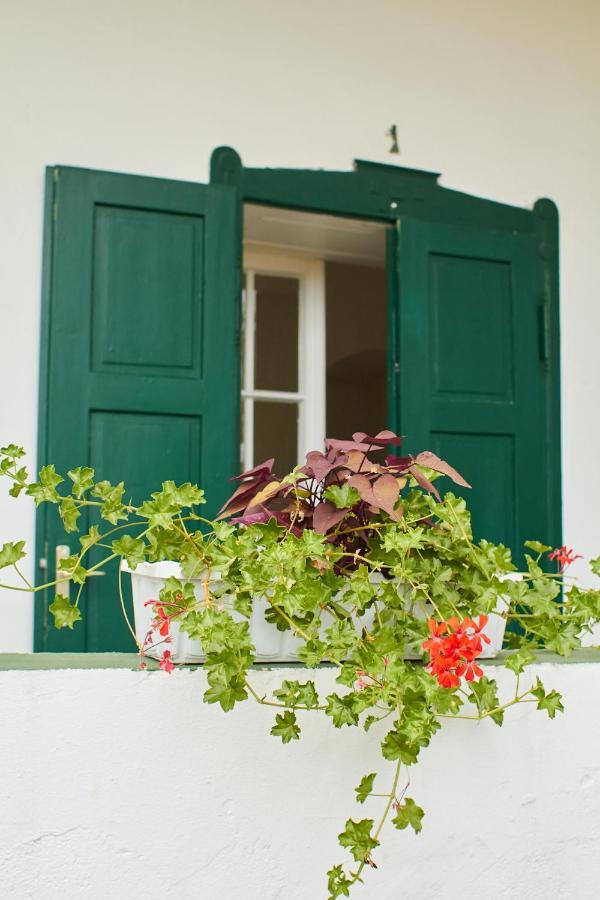 Vadrózsa Vendégház Rácalmás Exterior foto