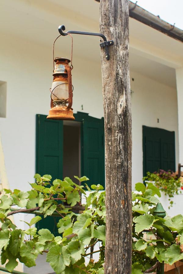 Vadrózsa Vendégház Rácalmás Exterior foto