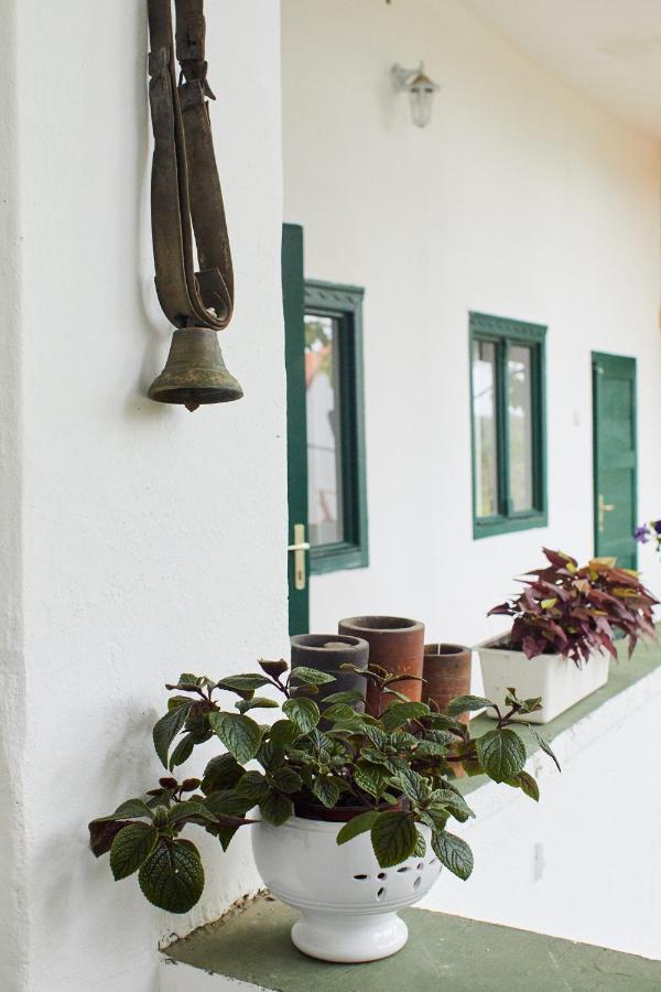 Vadrózsa Vendégház Rácalmás Exterior foto